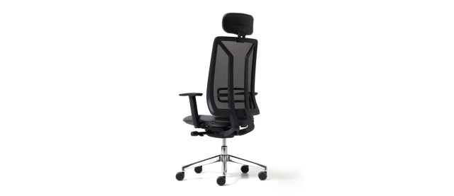 ACE ERGASIAS 38
